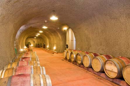 Napa Valley Vineyard and Winery For Sale - Wine Cave - Napa Valley - Wine Real Estate